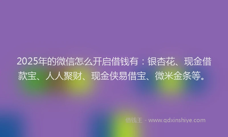 2025年的微信怎么开启借钱有：银杏花、现金借款宝、人人聚财、现金侠易借宝、微米金条等。