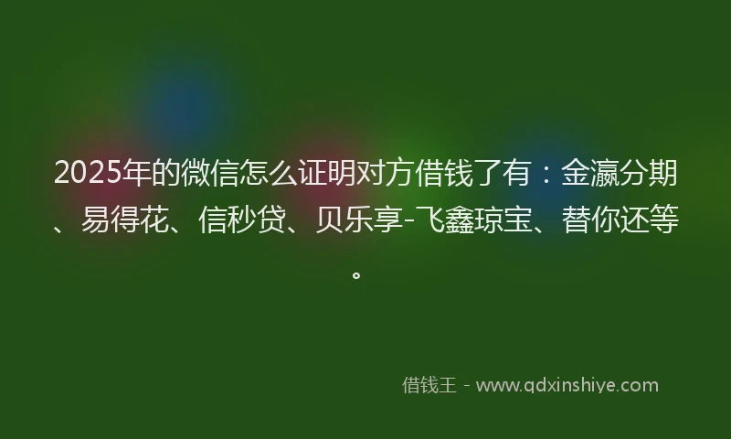2025年的微信怎么证明对方借钱了有：金瀛分期、易得花、信秒贷、贝乐享-飞鑫琼宝、替你还等。