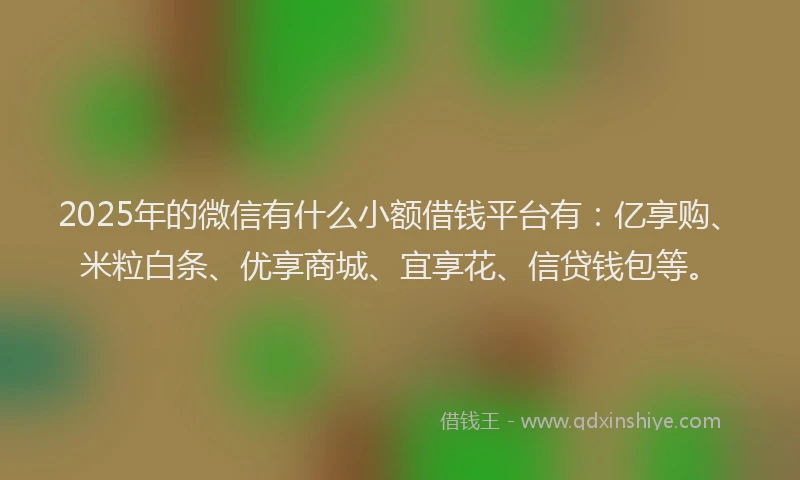 2025年的微信有什么小额借钱平台有：亿享购、米粒白条、优享商城、宜享花、信贷钱包等。