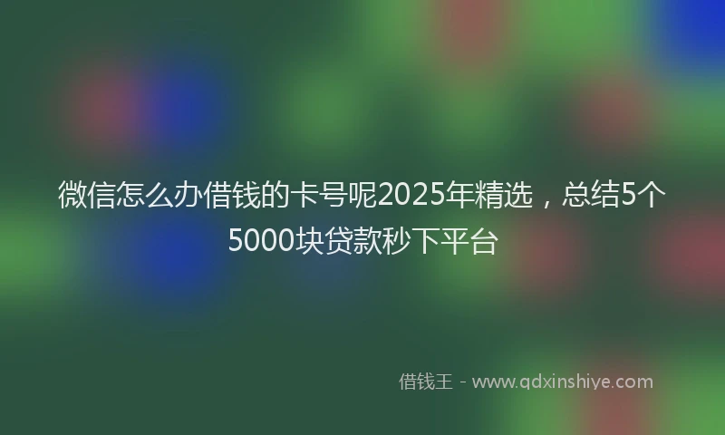 微信怎么办借钱的卡号呢2025年精选，总结5个5000块贷款秒下平台