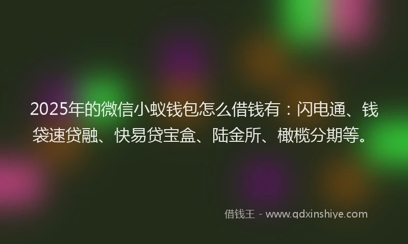 2025年的微信小蚁钱包怎么借钱有：闪电通、钱袋速贷融、快易贷宝盒、陆金所、橄榄分期等。