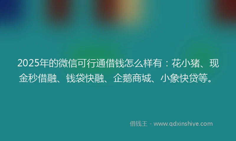 2025年的微信可行通借钱怎么样有：花小猪、现金秒借融、钱袋快融、企鹅商城、小象快贷等。