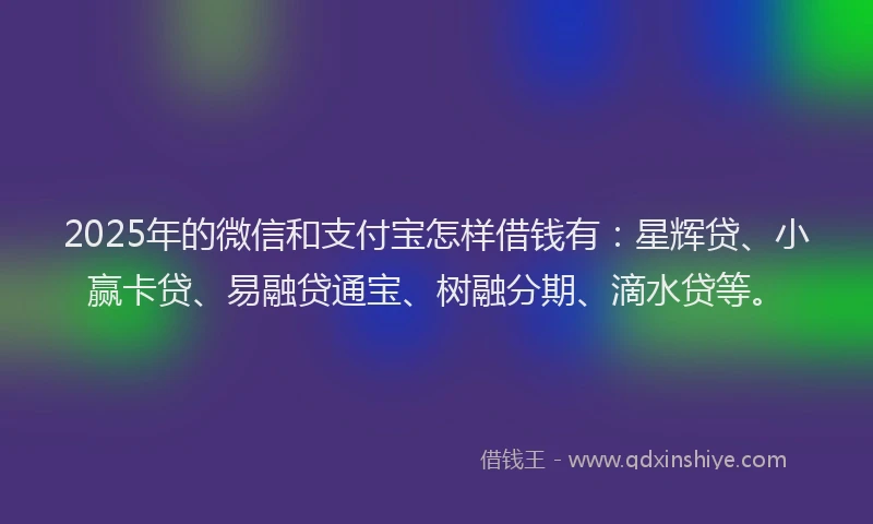 2025年的微信和支付宝怎样借钱有：星辉贷、小赢卡贷、易融贷通宝、树融分期、滴水贷等。