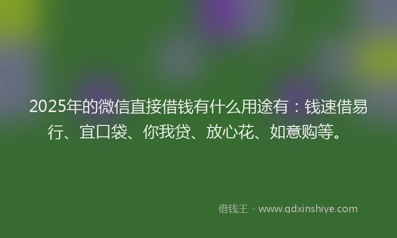 2025年的微信直接借钱有什么用途有：钱速借易行、宜口袋、你我贷、放心花、如意购等。