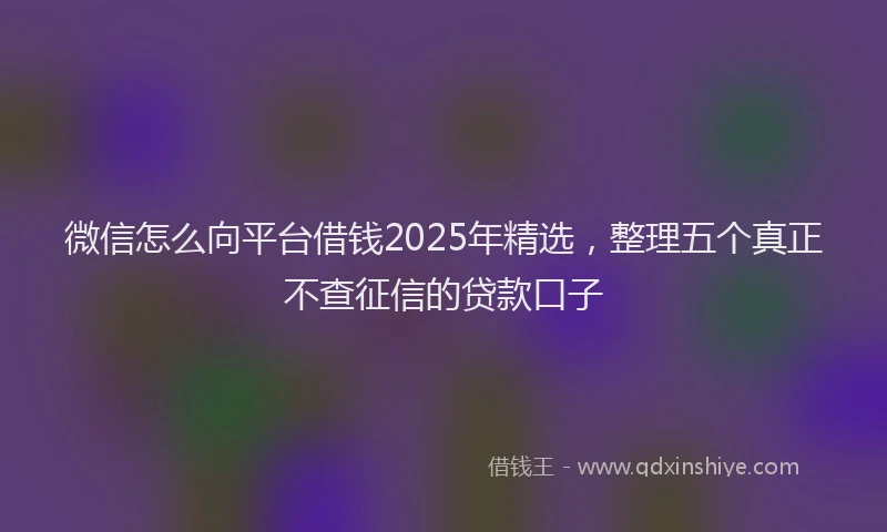 微信怎么向平台借钱2025年精选，整理五个真正不查征信的贷款口子
