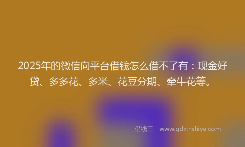 2025年的微信向平台借钱怎么借不了有：现金好贷、多多花、多米、花豆分期、牵牛花等。