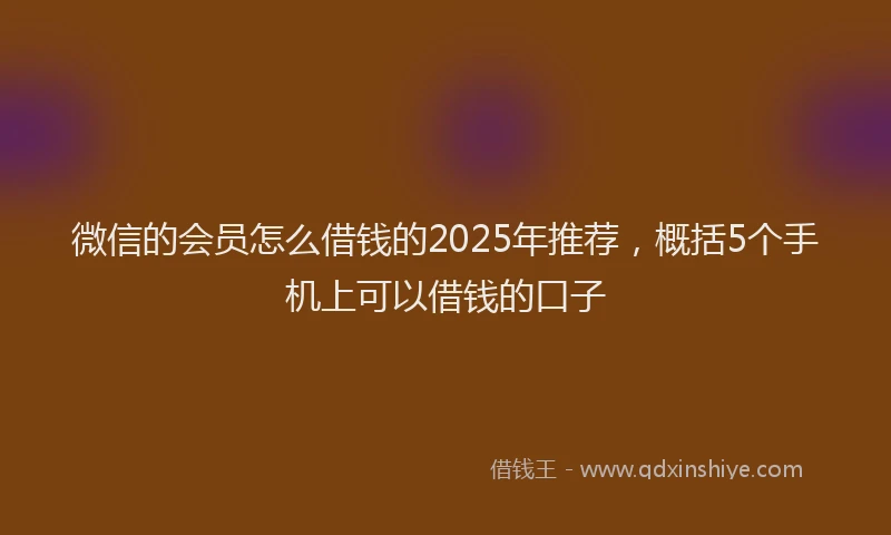 微信的会员怎么借钱的2025年推荐，概括5个手机上可以借钱的口子
