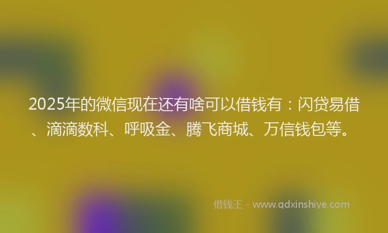 2025年的微信现在还有啥可以借钱有：闪贷易借、滴滴数科、呼吸金、腾飞商城、万信钱包等。