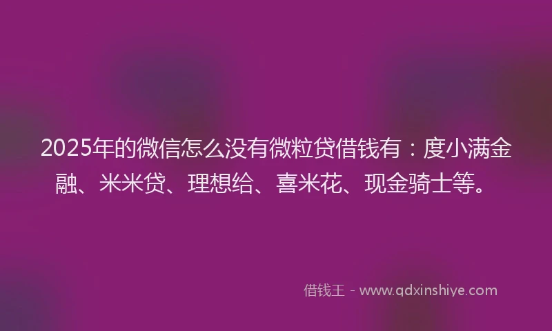 2025年的微信怎么没有微粒贷借钱有：度小满金融、米米贷、理想给、喜米花、现金骑士等。