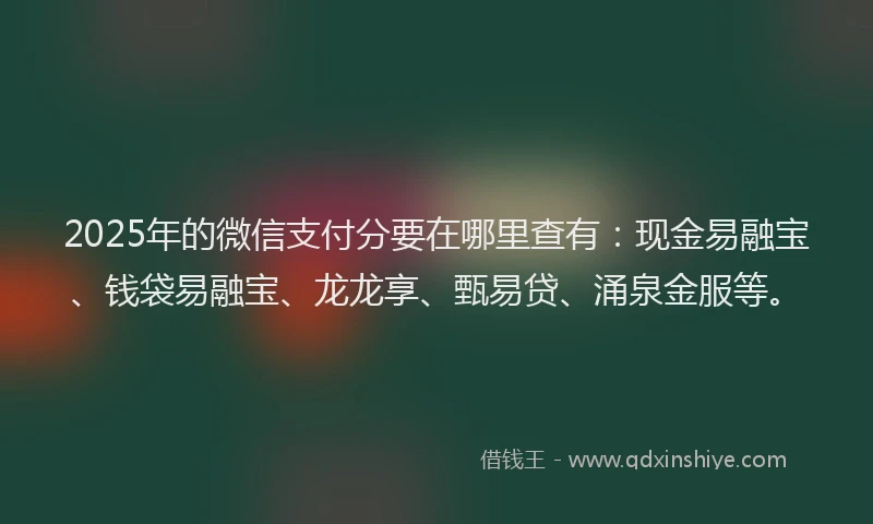 2025年的微信支付分要在哪里查有：现金易融宝、钱袋易融宝、龙龙享、甄易贷、涌泉金服等。