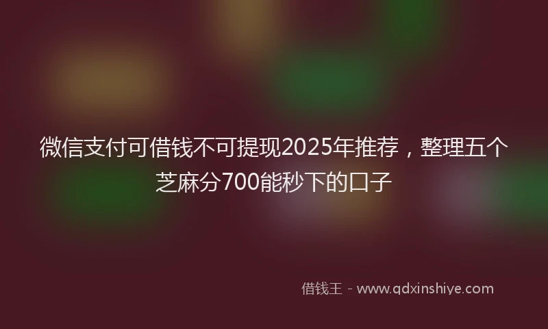 微信支付可借钱不可提现2025年推荐，整理五个芝麻分700能秒下的口子