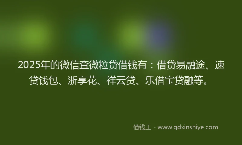 2025年的微信查微粒贷借钱有：借贷易融途、速贷钱包、浙享花、祥云贷、乐借宝贷融等。
