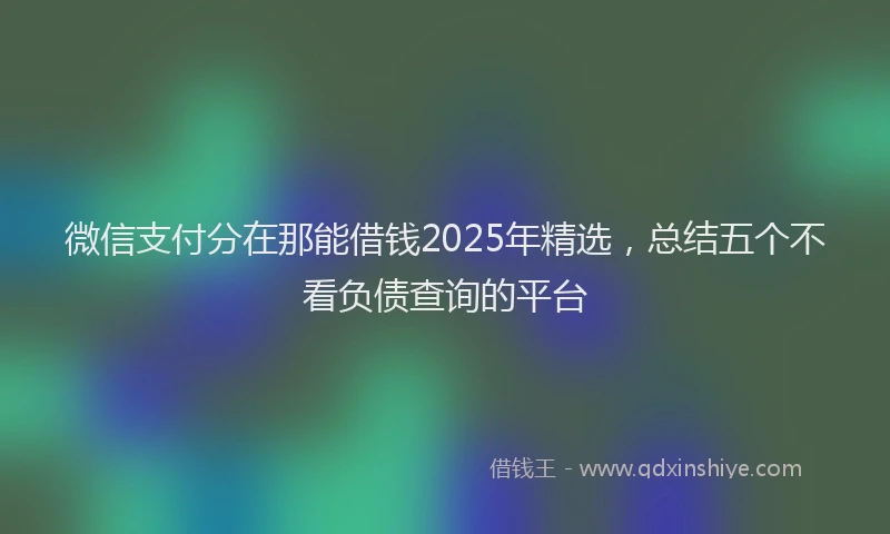 微信支付分在那能借钱2025年精选，总结五个不看负债查询的平台