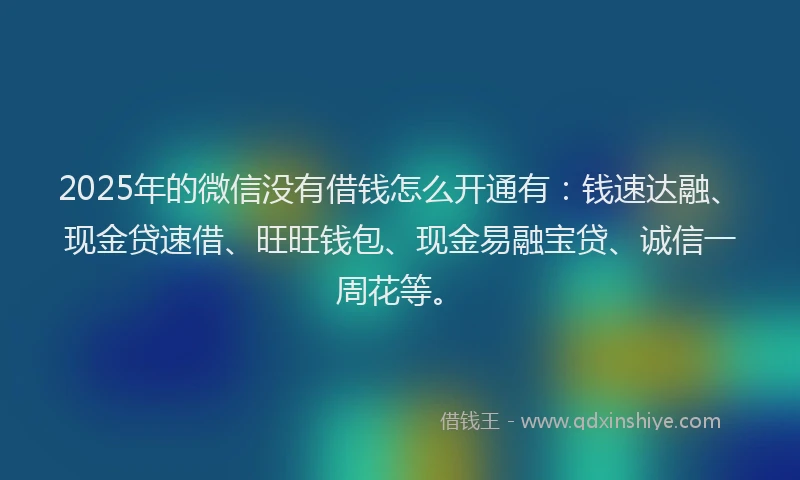 2025年的微信没有借钱怎么开通有：钱速达融、现金贷速借、旺旺钱包、现金易融宝贷、诚信一周花等。