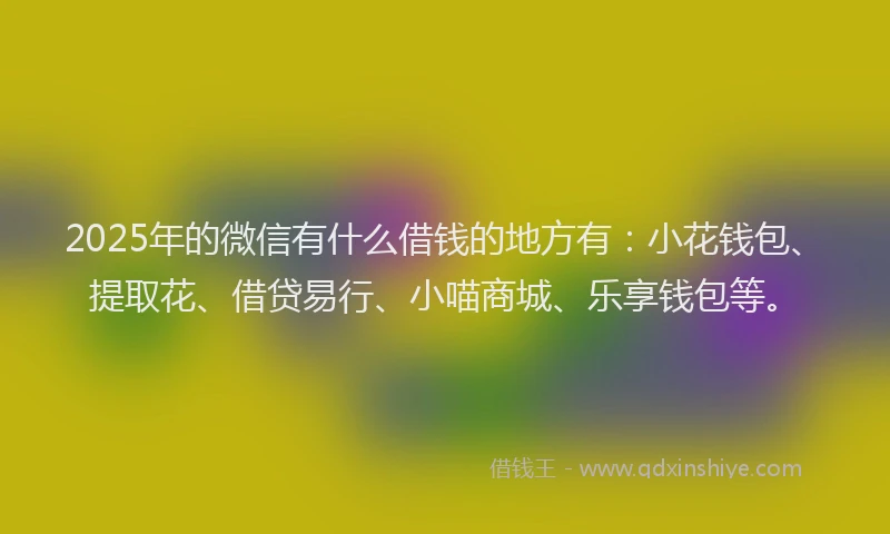 2025年的微信有什么借钱的地方有：小花钱包、提取花、借贷易行、小喵商城、乐享钱包等。