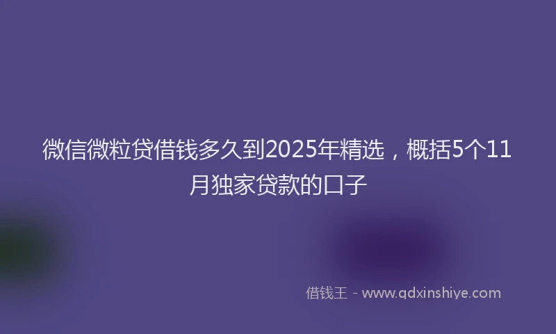 微信微粒贷借钱多久到2025年精选，概括5个11月独家贷款的口子