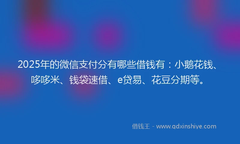 2025年的微信支付分有哪些借钱有：小鹅花钱、哆哆米、钱袋速借、e贷易、花豆分期等。