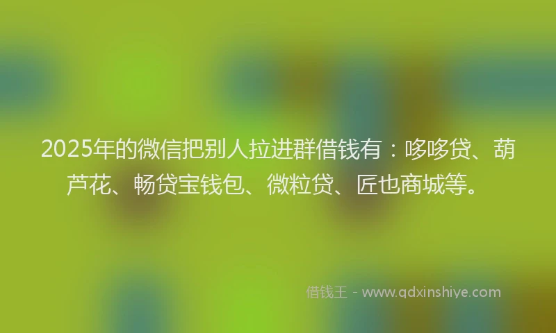 2025年的微信把别人拉进群借钱有：哆哆贷、葫芦花、畅贷宝钱包、微粒贷、匠也商城等。