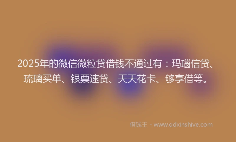 2025年的微信微粒贷借钱不通过有：玛瑙信贷、琉璃买单、银票速贷、天天花卡、够享借等。