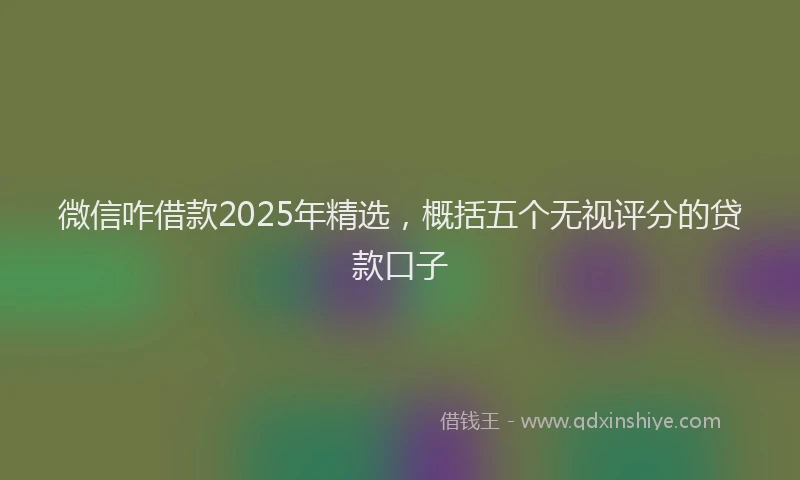 微信咋借款2025年精选，概括五个无视评分的贷款口子