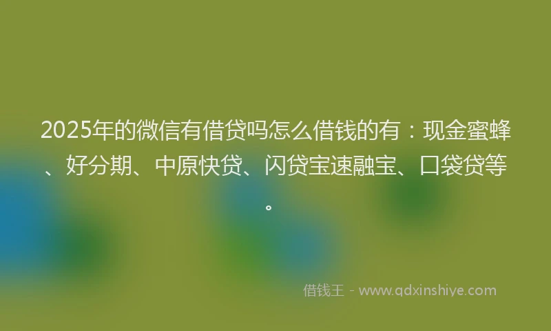 2025年的微信有借贷吗怎么借钱的有：现金蜜蜂、好分期、中原快贷、闪贷宝速融宝、口袋贷等。