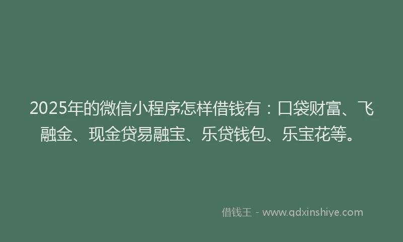 2025年的微信小程序怎样借钱有：口袋财富、飞融金、现金贷易融宝、乐贷钱包、乐宝花等。
