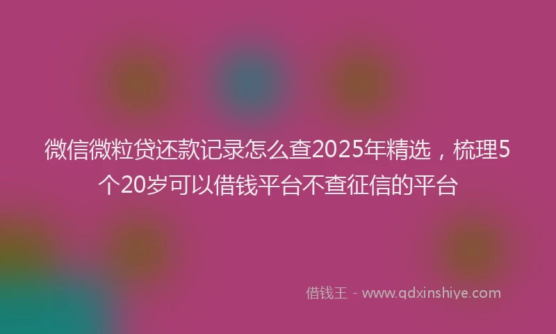 微信微粒贷还款记录怎么查2025年精选，梳理5个20岁可以借钱平台不查征信的平台