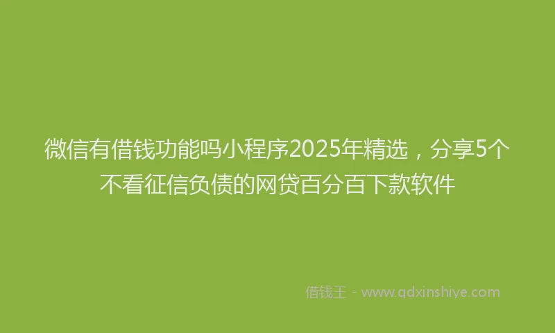 微信有借钱功能吗小程序2025年精选，分享5个不看征信负债的网贷百分百下款软件