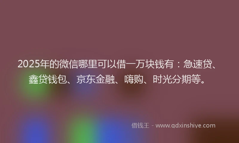 2025年的微信哪里可以借一万块钱有：急速贷、鑫贷钱包、京东金融、嗨购、时光分期等。