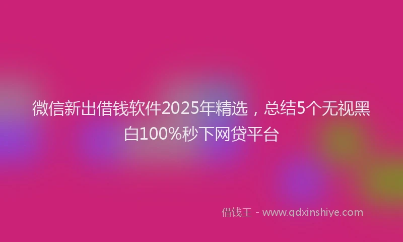 微信新出借钱软件2025年精选，总结5个无视黑白100%秒下网贷平台