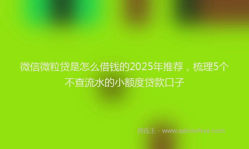 微信微粒贷是怎么借钱的2025年推荐，梳理5个不查流水的小额度贷款口子