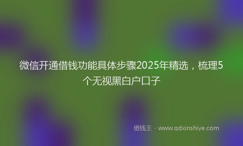 微信开通借钱功能具体步骤2025年精选，梳理5个无视黑白户口子
