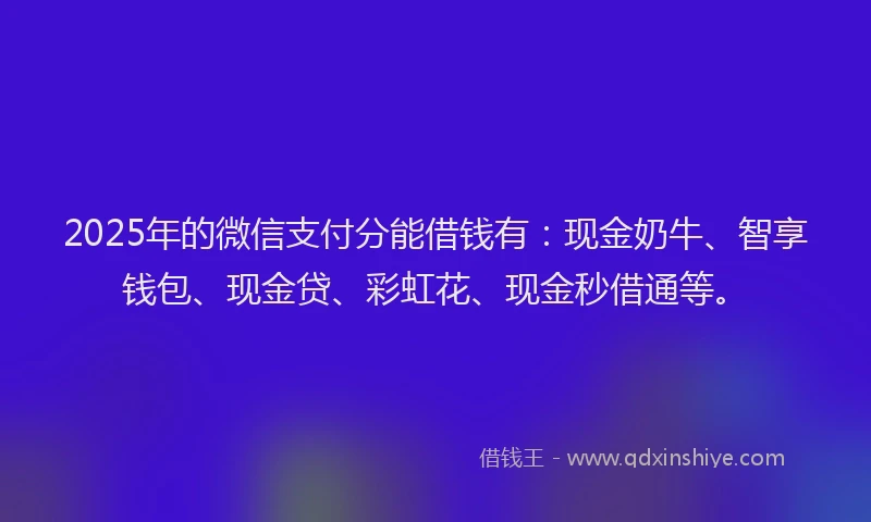 2025年的微信支付分能借钱有：现金奶牛、智享钱包、现金贷、彩虹花、现金秒借通等。