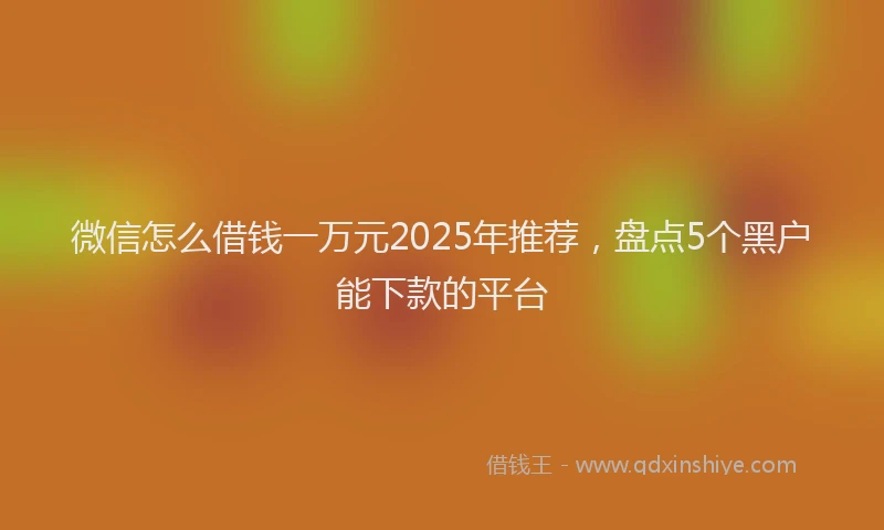 微信怎么借钱一万元2025年推荐，盘点5个黑户能下款的平台