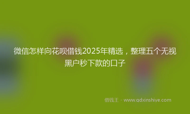 微信怎样向花呗借钱2025年精选，整理五个无视黑户秒下款的口子