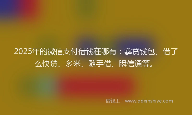 2025年的微信支付借钱在哪有：鑫贷钱包、借了么快贷、多米、随手借、瞬信通等。