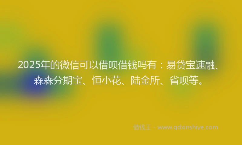 2025年的微信可以借呗借钱吗有：易贷宝速融、森森分期宝、恒小花、陆金所、省呗等。