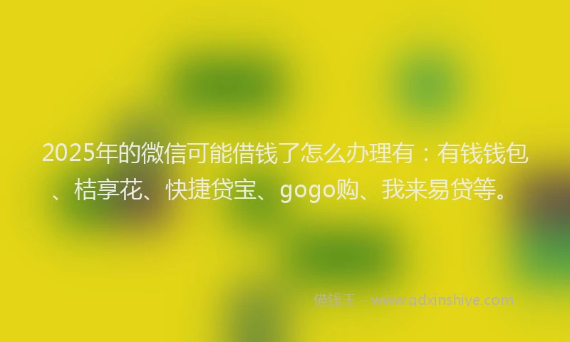 2025年的微信可能借钱了怎么办理有：有钱钱包、桔享花、快捷贷宝、gogo购、我来易贷等。