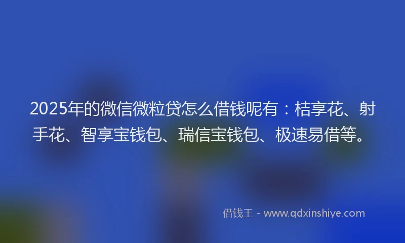 2025年的微信微粒贷怎么借钱呢有：桔享花、射手花、智享宝钱包、瑞信宝钱包、极速易借等。