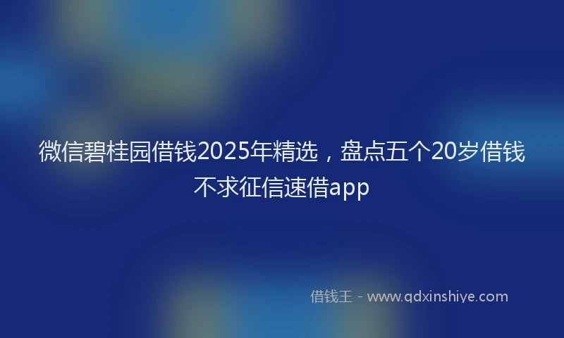 微信碧桂园借钱2025年精选，盘点五个20岁借钱不求征信速借app