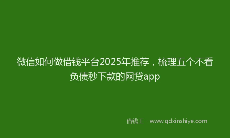 微信如何做借钱平台2025年推荐，梳理五个不看负债秒下款的网贷app