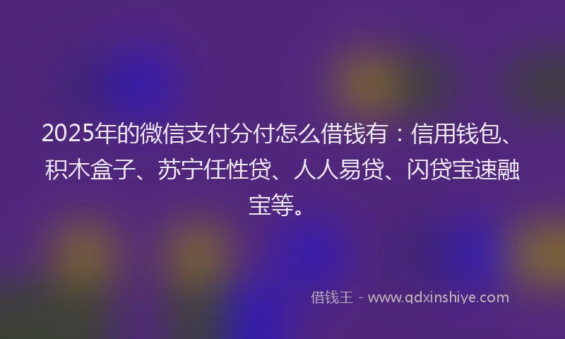 2025年的微信支付分付怎么借钱有：信用钱包、积木盒子、苏宁任性贷、人人易贷、闪贷宝速融宝等。