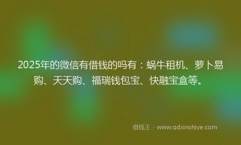 2025年的微信有借钱的吗有：蜗牛租机、萝卜易购、天天购、福瑞钱包宝、快融宝盒等。