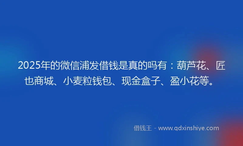 2025年的微信浦发借钱是真的吗有：葫芦花、匠也商城、小麦粒钱包、现金盒子、盈小花等。