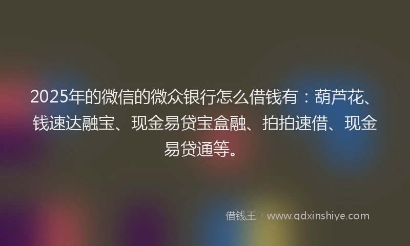 2025年的微信的微众银行怎么借钱有：葫芦花、钱速达融宝、现金易贷宝盒融、拍拍速借、现金易贷通等。