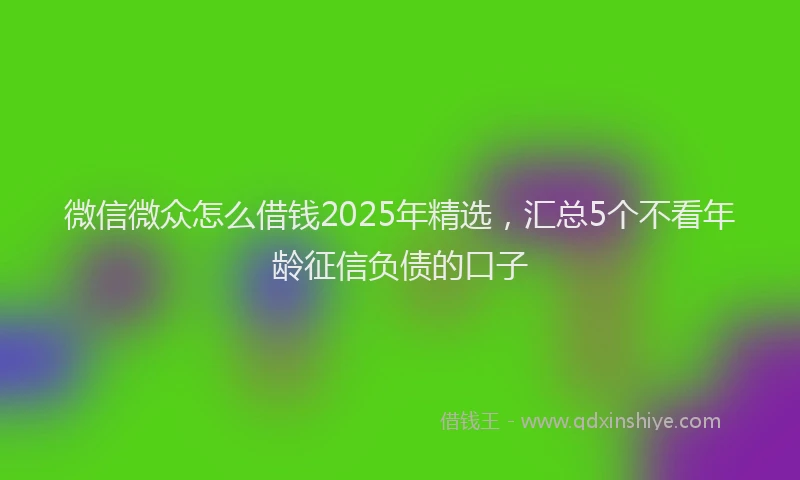 微信微众怎么借钱2025年精选，汇总5个不看年龄征信负债的口子