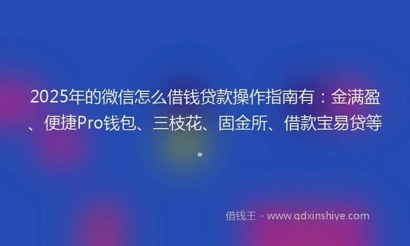 2025年的微信怎么借钱贷款操作指南有：金满盈、便捷Pro钱包、三枝花、固金所、借款宝易贷等。