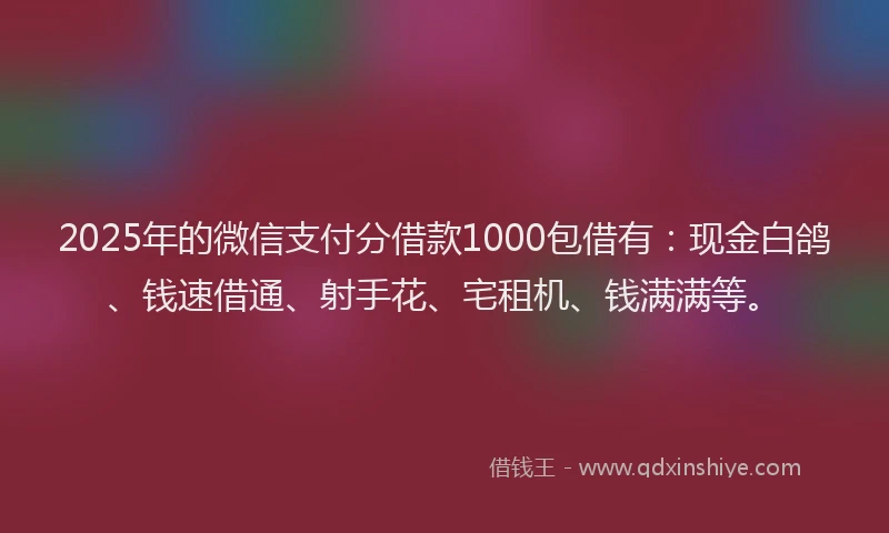 2025年的微信支付分借款1000包借有：现金白鸽、钱速借通、射手花、宅租机、钱满满等。