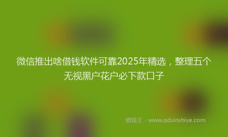 微信推出啥借钱软件可靠2025年精选，整理五个无视黑户花户必下款口子