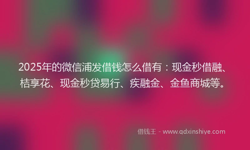 2025年的微信浦发借钱怎么借有：现金秒借融、桔享花、现金秒贷易行、疾融金、金鱼商城等。